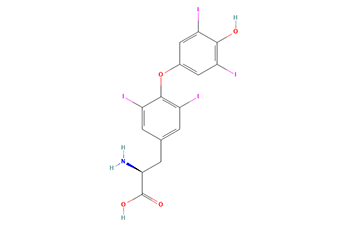 T4 (levothyroxine)